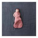 ergoPouch Cocoon Swaddle Bag 2.5 TOG Quill 0-3 Months