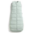 ergoPouch Jersey Sleeping Bag 2.5 TOG - Cute Fruit, 8-24 Months