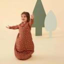 ergoPouch Sleep Suit Bag 2.5 TOG, Acorn / 2-4 Y