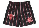 Eric Emanuel EE Basic Short Chicago Bulls