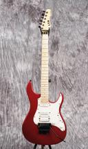 ESP Ltd SN-200FR in Black Cherry Metallic Satin