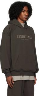 Essentials Gray Raglan Hoodie