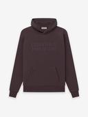 Essentials Raglan Hoodie - Plum