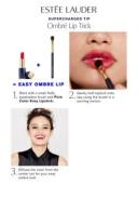 Estee Lauder Pure Color Envy Hi-Lustre Light Sculpting Lipstick - Lies & Kisses