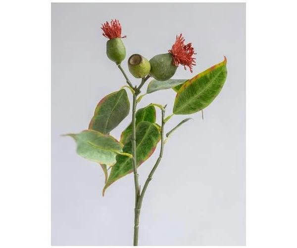 Eucalyptus Flower Spray in Red - 50cm