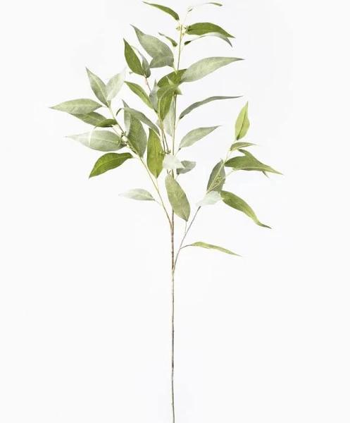 Eucalyptus Spray in Green 97.CM