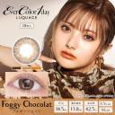 EverColor LUQUAGE One-Day Color Lens Foggy Chocolate 10 Pcs 1.25 (10 Pcs)