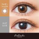EverColor LUQUAGE One-Day Color Lens Foggy Chocolate 10 Pcs 1.25 (10 Pcs)