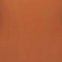 Everyday Sculpt High-Waisted Mid Thigh Short | Bronze