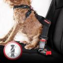 EzyDog Chest Plate Harness, Small / Grey