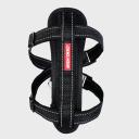 EzyDog Chest Plate Harness, XS / Orange