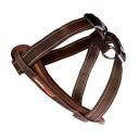 EzyDog Chest Plate Orange Dog Harness Small