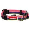 EzyDog Collar Double Up Bubblegum Large