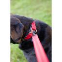 EzyDog Collar Double Up Bubblegum Large