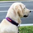 EzyDog Collar Neo Wide Rojo 190 Gr
