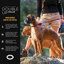 EzyDog Double Up Collar, Large / Grey