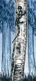 Faber Castell : Pitt : Artist Pen : Soft Brush : Dark Indigo