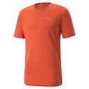 Favourite Heather Short Sleeve Men's Running T-Shirt in Cherry Tomato Heather, Size 2XL, Polyester by Puma