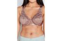 Fayreform Charlotte Underwire Bra - Antler - 14F Antler