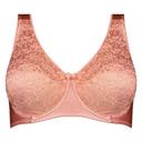 Fayreform Charlotte Underwire Bra F75 5040 Rosette