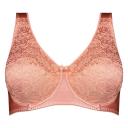 Fayreform Charlotte Underwire Bra F75 5040 Rosette