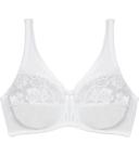 Fayreform Classic Underwire Bra, B-DD