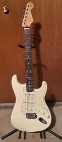 Fender Standard Stratocaster With Rosewood Fretboard Arctic White