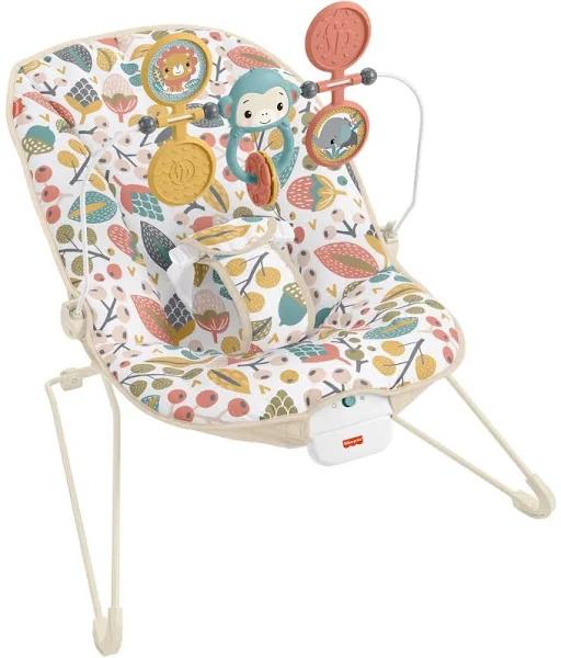 Fisher Price Baby s Bouncer HHB62 Price History Comparison Alerts