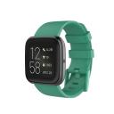 Fitbit Versa 2 Watch Replacement Band - Green - Large - AfterPay & zipPay Available