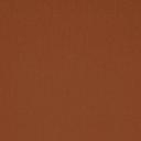 Fits Everybody High-Waisted Thong | Bronze