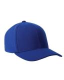 Flexfit 110C One Ten Pro-Formance Cap Royal OS