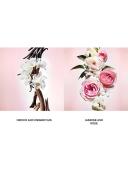 Flowerbomb by Viktor & Rolf | Eau De Parfum Spray 5 oz