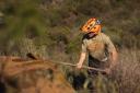 Fox Racing Dropframe Pro Dvide Helmet