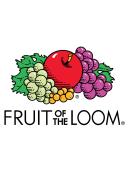 Fruit of The Loom Men's Coolzone Boxer Briefs