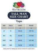 Fruit of The Loom Men's Tall Size V-Neck T-Shirt