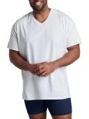 Fruit of The Loom Men's Tall Size V-Neck T-Shirt