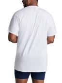 Fruit of The Loom Men's Tall Size V-Neck T-Shirt