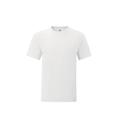 Fruit of The Loom Mens Iconic 150 V Neck T-Shirt Dark Navy L