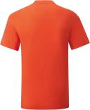 Fruit of The Loom Mens Iconic T-Shirt (Pack of 5) Flame Orange L