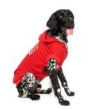 FuzzYard Zoomies Dog Hoodie Red 1