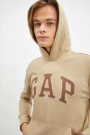 Gap Arch Logo Hoodie