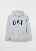 Gap Arch Logo Hoodie