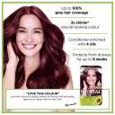 Garnier Nutrisse 4.6 Deep Red Permanent Hair Dye