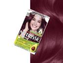Garnier Nutrisse 4.6 Deep Red Permanent Hair Dye