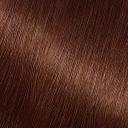 Garnier Nutrisse Nourishing Color Creme - 434 Deep Chestnut Brown Hair Color 1