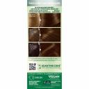 Garnier Nutrisse Nourishing Hair Color Creme, 53 Medium Golden Brown (
