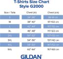 Gildan Men's Ultra Cotton T-Shirt 2-Pack