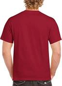 Gildan Men's Heavy Cotton Short Sleeve T-Shirt, 2-Pack