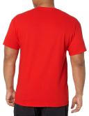 Gildan Men's Heavy Cotton Short Sleeve T-Shirt, 2-Pack