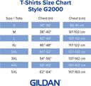 Gildan Men's Ultra Cotton T-Shirt 2-Pack